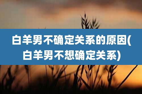 白羊男不确定关系的原因(白羊男不想确定关系)
