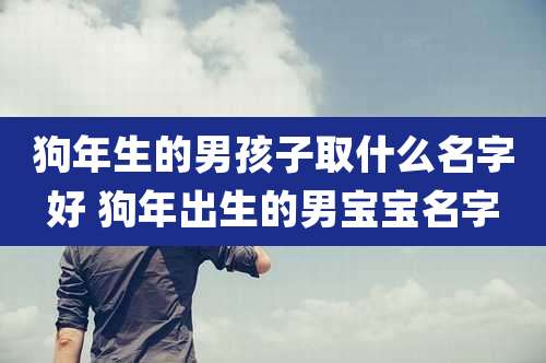 狗年生的男孩子取什么名字好 狗年出生的男宝宝名字