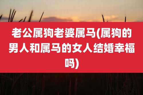 老公属狗老婆属马(属狗的男人和属马的女人结婚幸福吗)