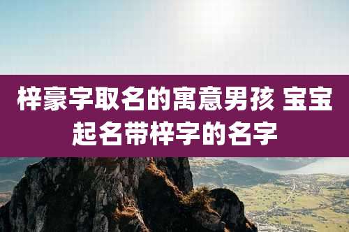 梓豪字取名的寓意男孩 宝宝起名带梓字的名字