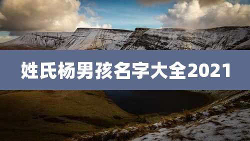 姓氏杨男孩名字大全2021