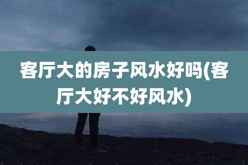 客厅大的房子风水好吗(客厅大好不好风水)