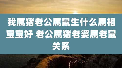 我属猪老公属鼠生什么属相宝宝好 老公属猪老婆属老鼠关系