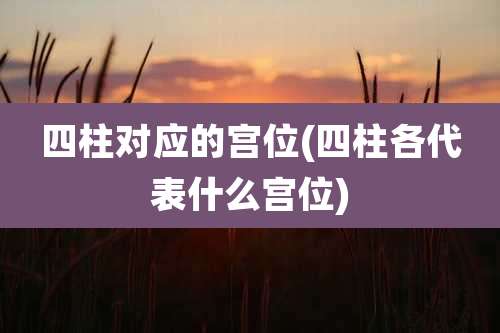 四柱对应的宫位(四柱各代表什么宫位)