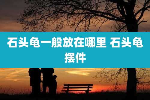 石头龟一般放在哪里 石头龟摆件