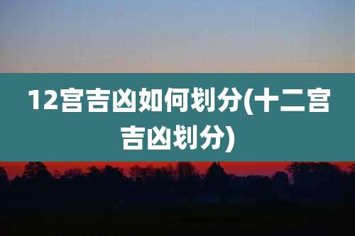 12宫吉凶如何划分(十二宫吉凶划分)