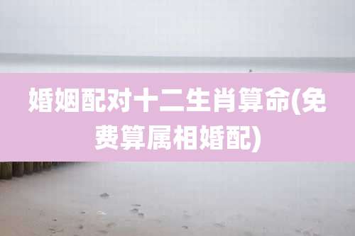 婚姻配对十二生肖算命(免费算属相婚配)