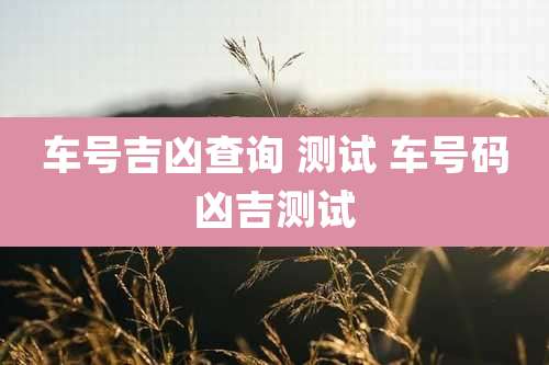 车号吉凶查询 测试 车号码凶吉测试