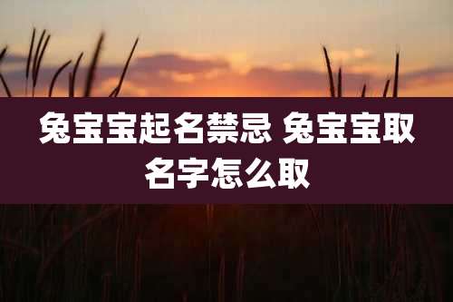 兔宝宝起名禁忌 兔宝宝取名字怎么取
