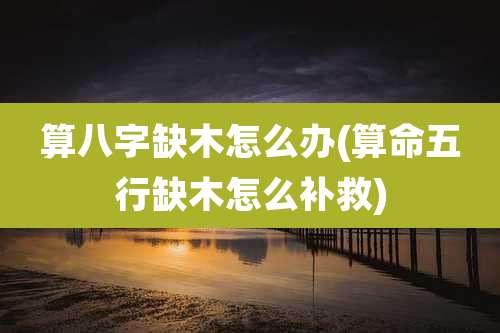 算八字缺木怎么办(算命五行缺木怎么补救)