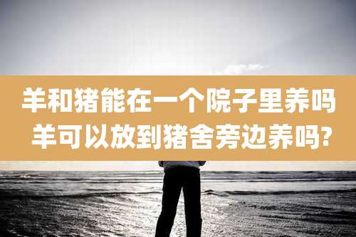 羊和猪能在一个院子里养吗 羊可以放到猪舍旁边养吗?