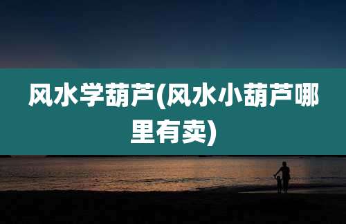 风水学葫芦(风水小葫芦哪里有卖)