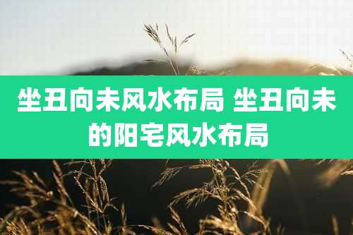 坐丑向未风水布局 坐丑向未的阳宅风水布局