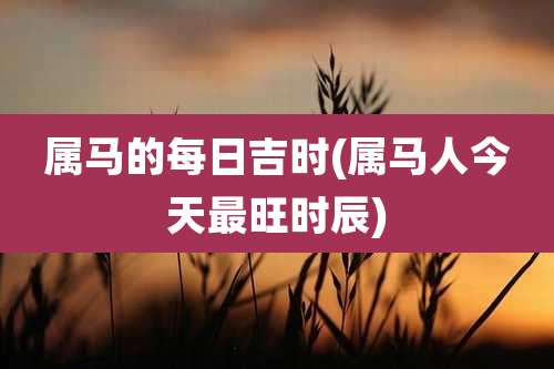 属马的每日吉时(属马人今天最旺时辰)
