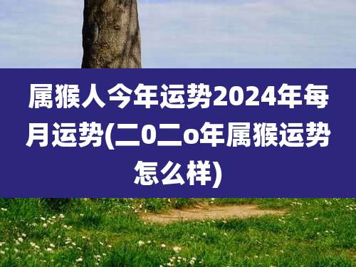 属猴人今年运势2024年每月运势(二0二o年属猴运势怎么样)
