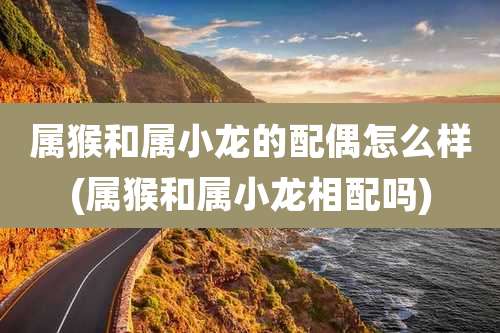 属猴和属小龙的配偶怎么样(属猴和属小龙相配吗)