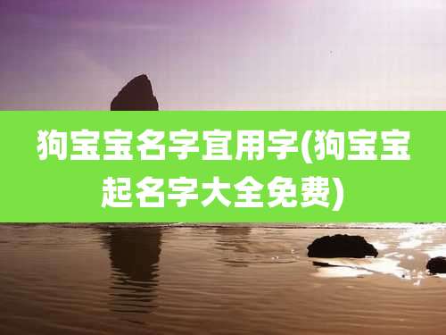 狗宝宝名字宜用字(狗宝宝起名字大全免费)