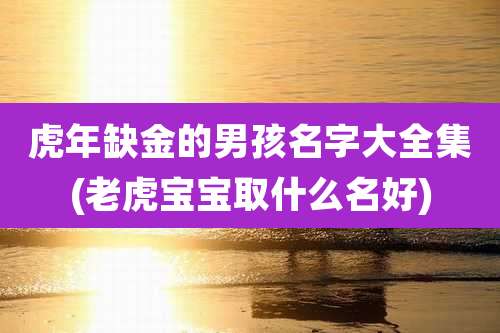 虎年缺金的男孩名字大全集(老虎宝宝取什么名好)