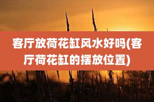 客厅放荷花缸风水好吗(客厅荷花缸的摆放位置)