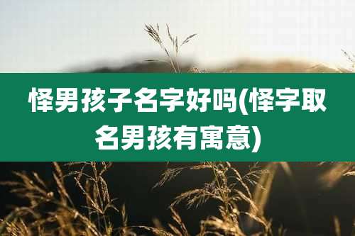 怿男孩子名字好吗(怿字取名男孩有寓意)