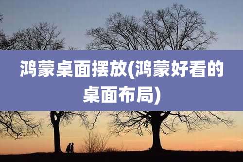 鸿蒙桌面摆放(鸿蒙好看的桌面布局)