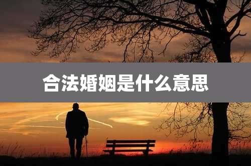 合法婚姻是什么意思