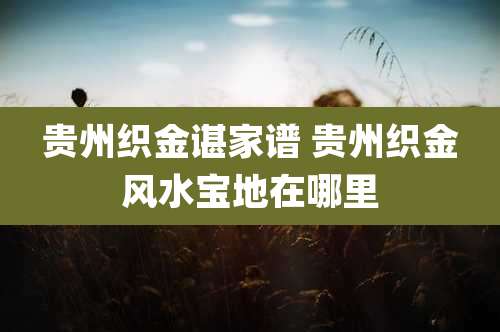 贵州织金谌家谱 贵州织金风水宝地在哪里