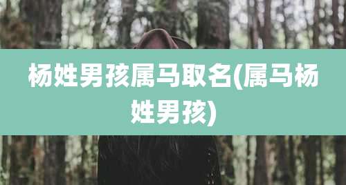 杨姓男孩属马取名(属马杨姓男孩)