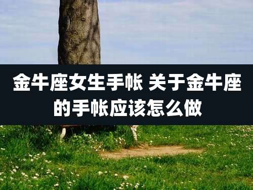 金牛座女生手帐 关于金牛座的手帐应该怎么做