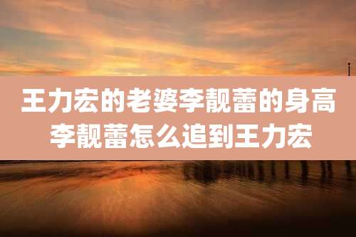 王力宏的老婆李靓蕾的身高 李靓蕾怎么追到王力宏
