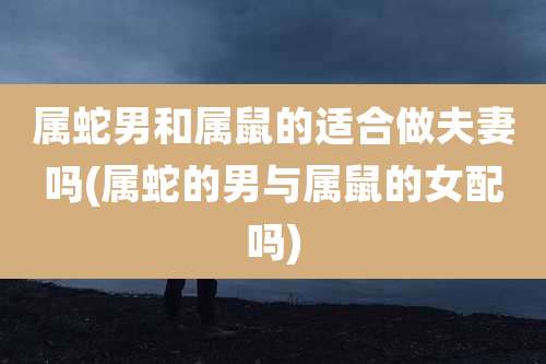 属蛇男和属鼠的适合做夫妻吗(属蛇的男与属鼠的女配吗)