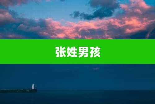 张姓男孩