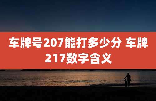 车牌号207能打多少分 车牌217数字含义