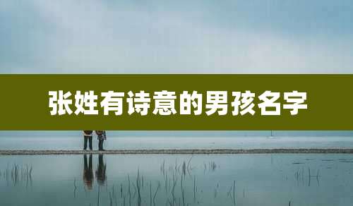 张姓有诗意的男孩名字