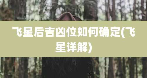 飞星后吉凶位如何确定(飞星详解)