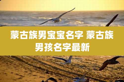 蒙古族男宝宝名字 蒙古族男孩名字最新