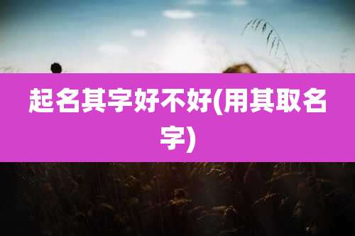 起名其字好不好(用其取名字)