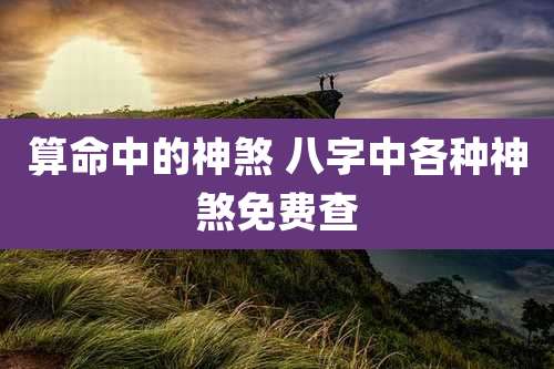 算命中的神煞 八字中各种神煞免费查
