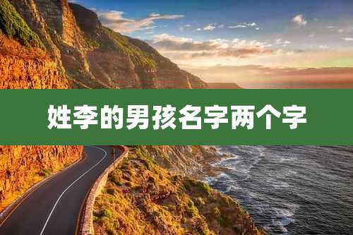 姓李的男孩名字两个字