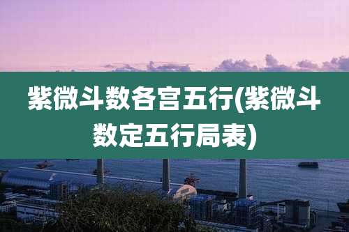 紫微斗数各宫五行(紫微斗数定五行局表)