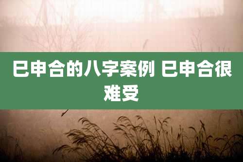 巳申合的八字案例 巳申合很难受