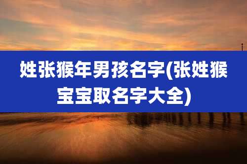 姓张猴年男孩名字(张姓猴宝宝取名字大全)