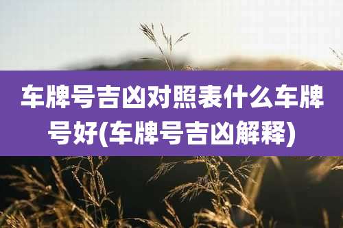 车牌号吉凶对照表什么车牌号好(车牌号吉凶解释)