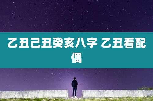 乙丑己丑癸亥八字 乙丑看配偶