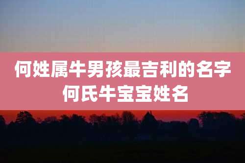 何姓属牛男孩最吉利的名字 何氏牛宝宝姓名