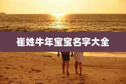 崔姓牛年宝宝名字大全