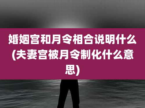 婚姻宫和月令相合说明什么(夫妻宫被月令制化什么意思)