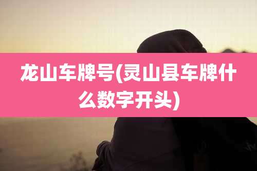 龙山车牌号(灵山县车牌什么数字开头)