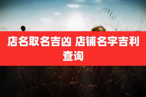 店名取名吉凶 店铺名字吉利查询