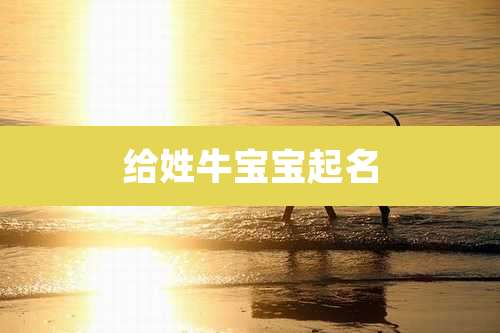 给姓牛宝宝起名